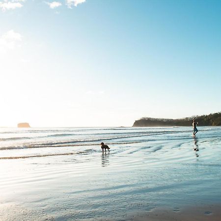 Playa Hermosa Eco Resort 산 후안 델 수르 외부 사진